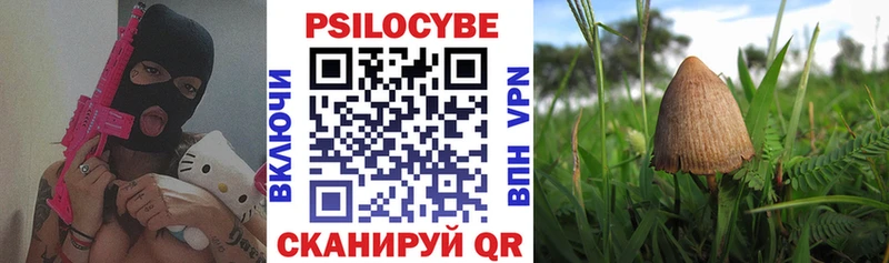 Галлюциногенные грибы Psilocybine cubensis Разумное